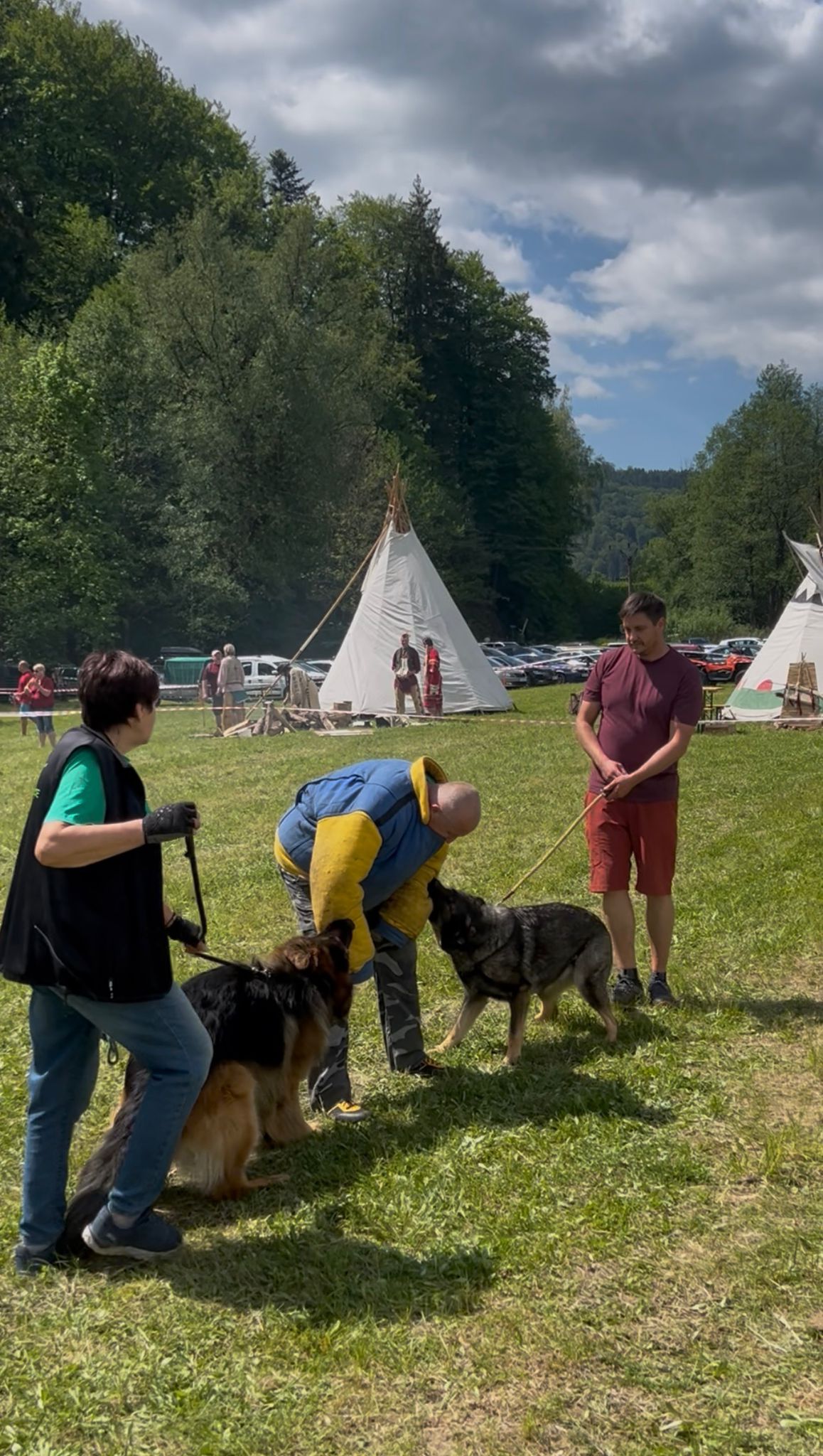 Galerie 2026-07-04 - Předvádečka Jindřichov - video